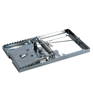 Ποντικοπαγίδες