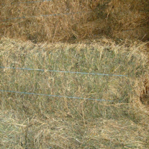 Τριφύλλι για ζωοτροφή σε μπάλες