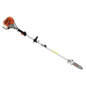 Κονταροπρίονα