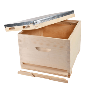 Κυψέλη Ξύλινη Μονή 10 Πλαισίων με Πλαίσια