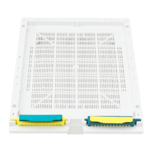 Τμήματα Κυψελών