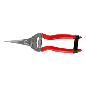 AGROFORCE Ψαλίδι Τρύγου Ίσιο ΙΝΟΧ 18,5cm